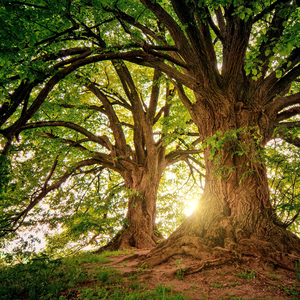 Снятие стресса