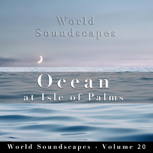 Ocean at Isle of Palms, Pt. 10