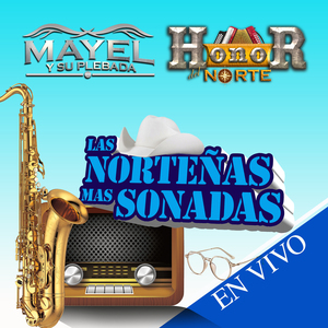 Se Va Muriendo Mi Alma (En Vivo)