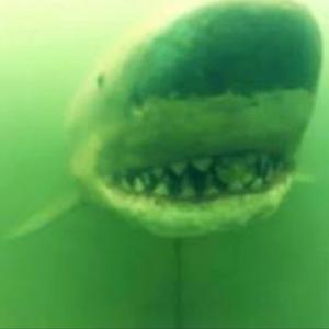 Abandoned Biomechanized Animatronics