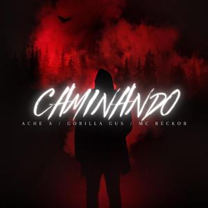 CAMINANDO (feat. RILLA G & ACHE A)