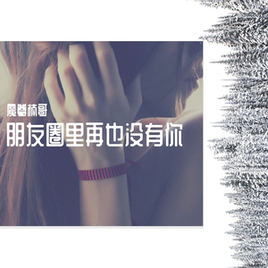 朋友圈里再也没有你