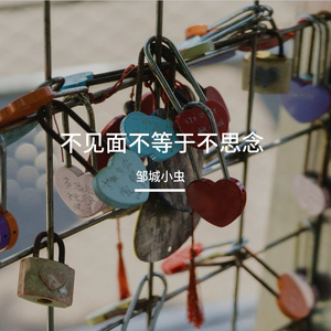 不见面不等于不思念 伴奏