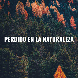 Hojas Y Troncos