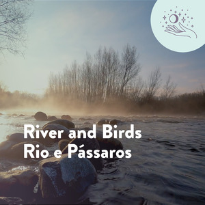 River And Birds | Rio e Pássaros