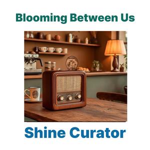 Where Your Light Begins