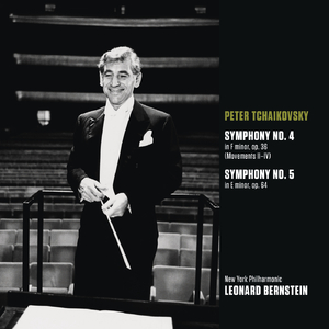 Symphony No. 4 in F Minor, Op. 36, TH 27:II. Andantino in modo di canzona