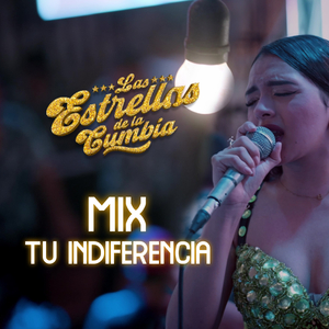 Tu indiferencia / Todo Terminó