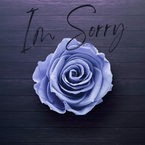 I'm Sorry
