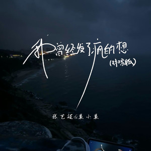 我曾经发了疯的想 (对唱版)