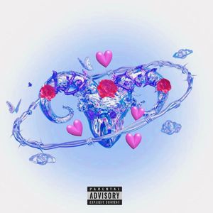 양자리 효과（白羊座效应）