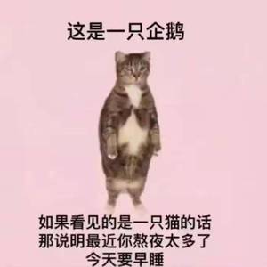 公交随笔（Prod by Yzz＆WayMen)