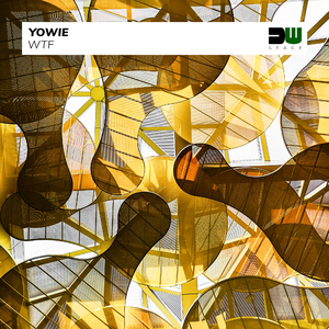 WTF (Original Mix)