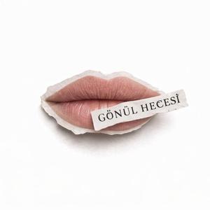 Gönül Hecesi