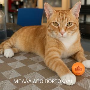 Μπάλα από πορτοκάλι