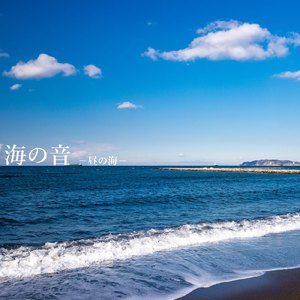 海の音 10