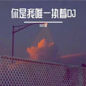你是我唯一执着DJ低音
