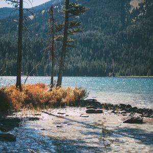 微妙的养生心情