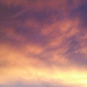 peel your skin (prod by §eraph)