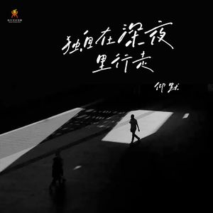 独自在深夜行走-仰默