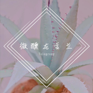 微醺龙舌兰（PROD BY XVIBE）