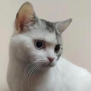 最好的我们 伴奏