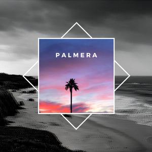 Palmera