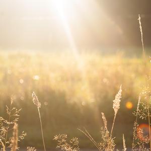 我们一起走过的昨天