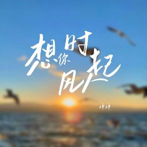 想你时风起 （男声版）Cover:单依纯