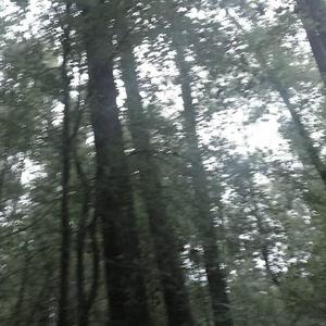 diffferent (feat. 3ravo)