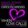 David Shaw - When Love Calls (Rebellion Brothers Club Mix)