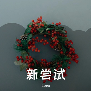 下雨的梦里我想和你一起Demo