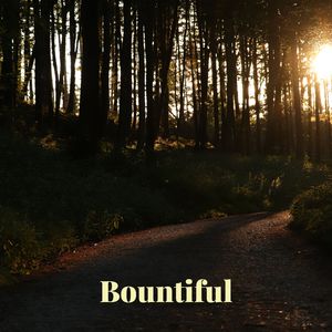 Limitation (Scaled Down Version)