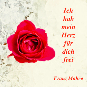 Ich hab mein Herz für dich frei (Instrumental)
