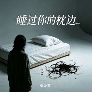 睡过你的枕边