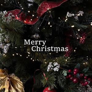 Scented Lights of Christmas