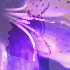 Reconstruction 432hz