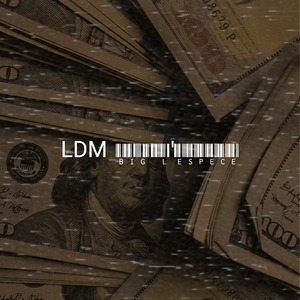 LDM