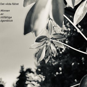 En resa där det alltid varit tyst