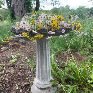 A round table. (Acoustic Version)