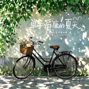 单车后座的夏天