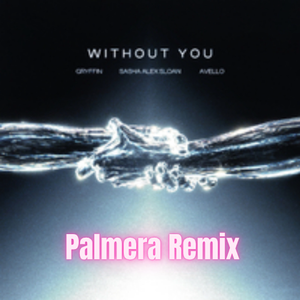 Without You (Palmera Remix)