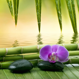 清冽な泉 ～ 心が落ち着き、あらゆるストレスから開放されるための音楽