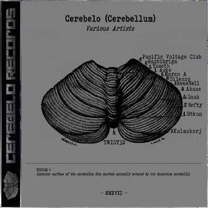 Extrange Body (Original Mix)