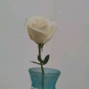 活着（女生版）