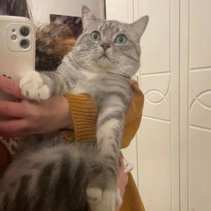 一位网友的故事(prod.YoungMarkin&Bvlloon)