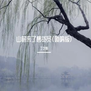 山村来了售货员(唢呐版)