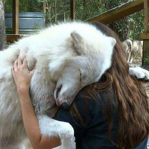 how do I explain how I feel