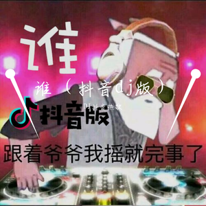 谁（抖音dj版）