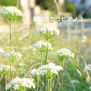 フォルテッシモ